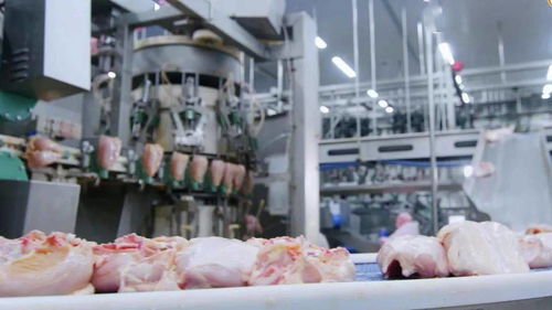 江西圣農(nóng) 深延產(chǎn)業(yè)鏈，鍛造肉制品加工行業(yè)新龍頭